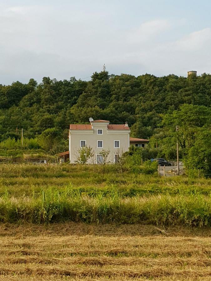 Flora Apartman